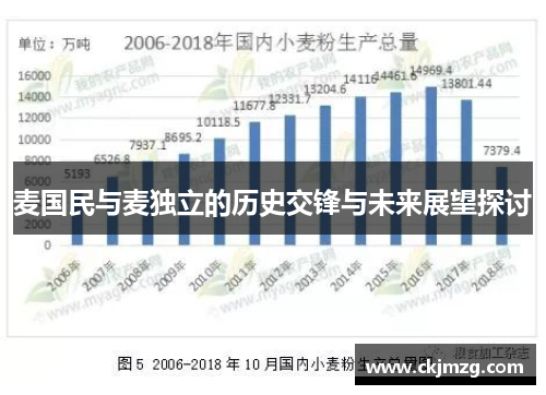 麦国民与麦独立的历史交锋与未来展望探讨