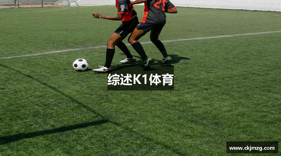 综述K1体育